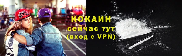 стаф Баксан
