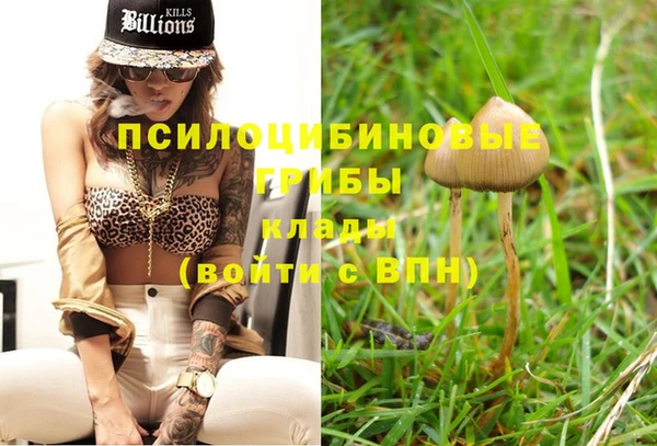 PSILOCYBIN Арсеньев